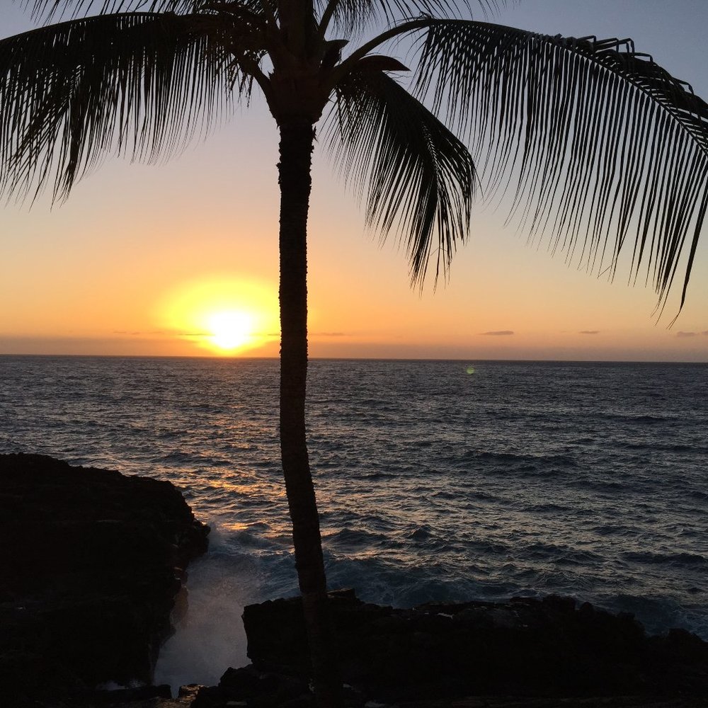 Meet your Posher, Kris!